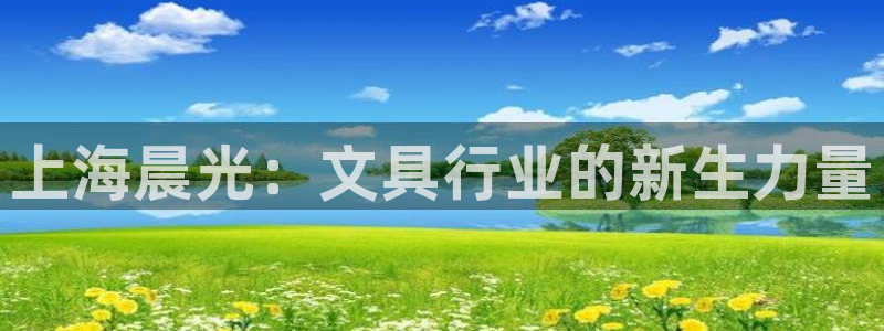 龙八国际新版本：上海晨光：文具行业的新生