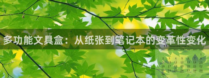 龙八国际客户端app：多功能文具盒：从纸