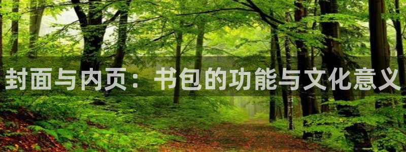 龙八国际备用地址：封面与内页：书包的功能