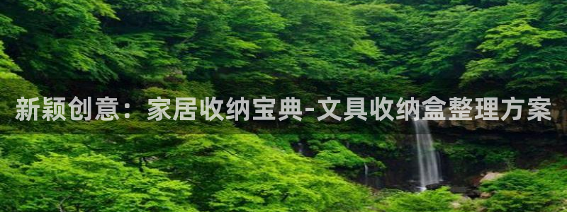 石家庄龙八国际老板是谁：新颖创意：家居收