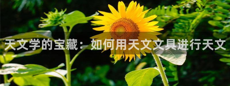 龙八国际官网下载安卓：天文学的宝藏：如何