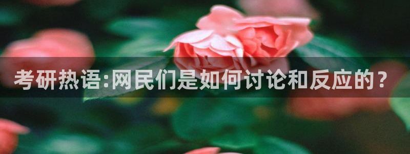 龙八国际娱乐官网多少
