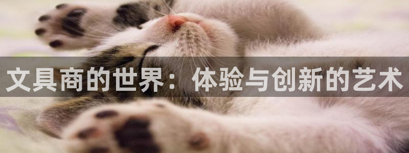 龙八国际手机版下载安卓：文具商的世界：体