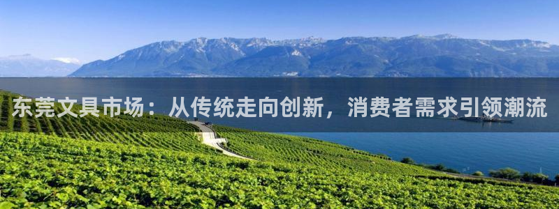 龙八国际客服端登录：东莞文具市场：从传统