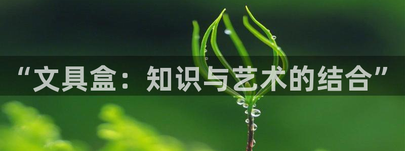 龙八国际老虎机：“文具盒：知识与艺术的结