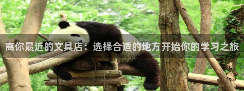 l龙八国际：离你最近的文具店：选择合适的