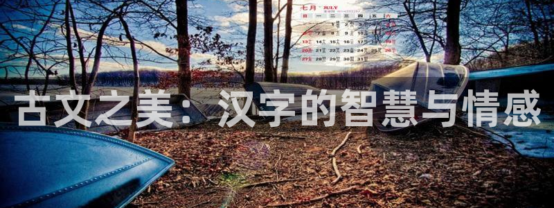 龙八国际更新：古文之美：汉字的智慧与情感