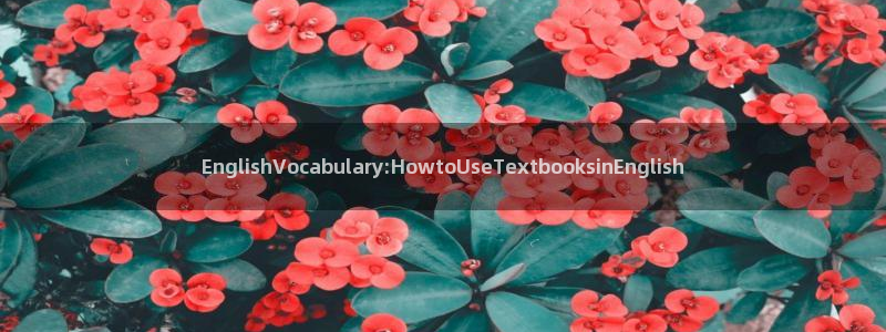 龙八国际更新：EnglishVocabu