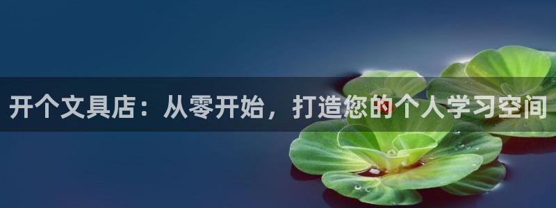 龙八国际华：开个文具店：从零开始，打造您