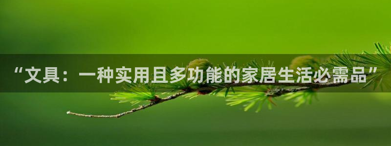 龙八国际p：“文具：一种实用且多功能的家