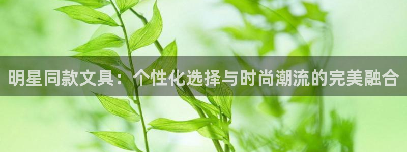 龙八国际登录网：明星同款文具：个性化选择