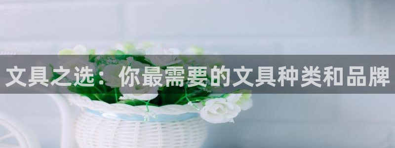 龙八国际网页版本：文具之选：你最需要的文