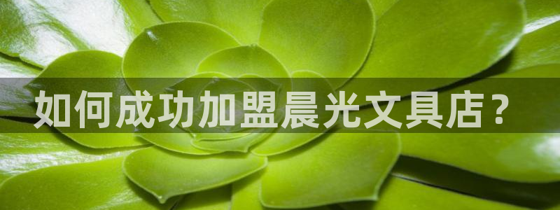 龙八国际下载app苹果：如何成功加盟晨光