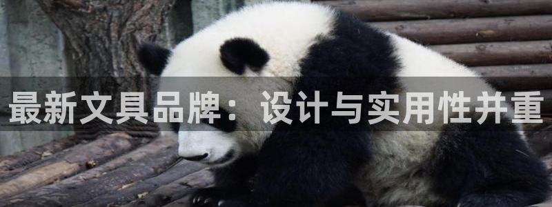 龙八国际l8520：最新文具品牌：设计与