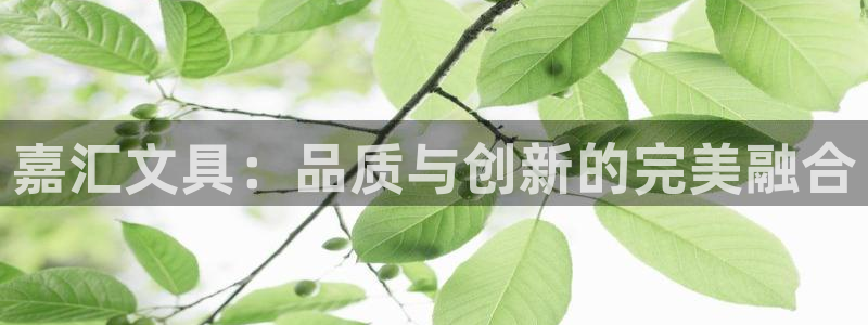 龙八国际平台下载：嘉汇文具：品质与创新的
