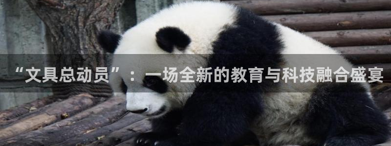 龙八国际官方下载：“文具总动员”：一场全