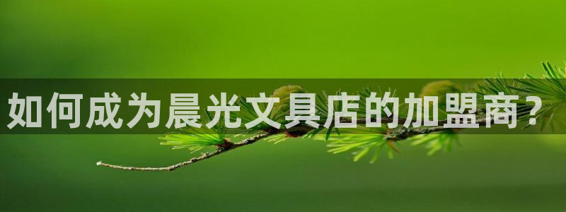 项目名称龙八国际：如何成为晨光文具店的加