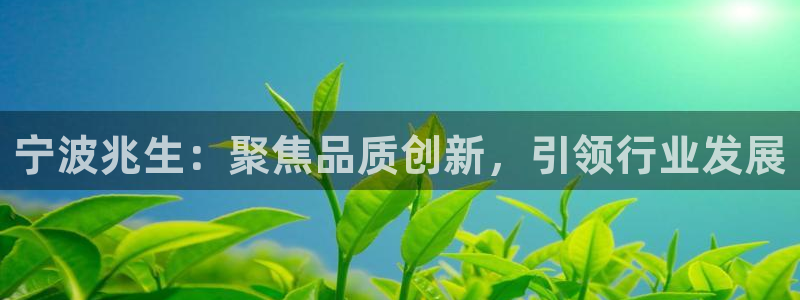 龙八国际官网手机端：宁波兆生：聚焦品质创