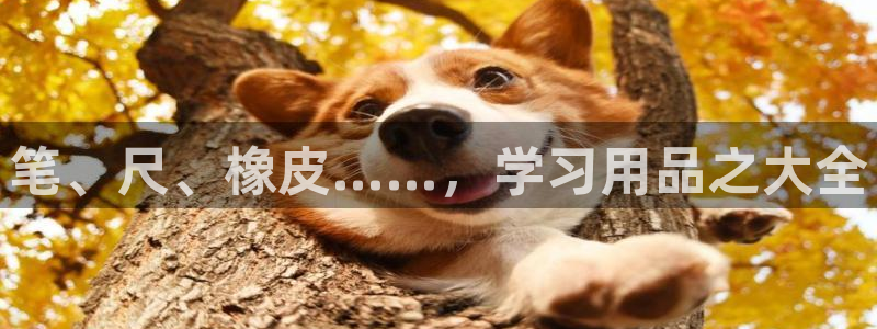 龙八国际app下载官网：笔、尺、橡皮……