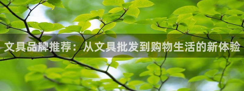 下载龙八国际官方网站：文具品牌推荐：从文