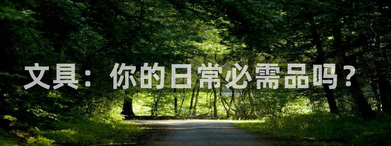 龙八国际官网手机版登陆：文具：你的日常必