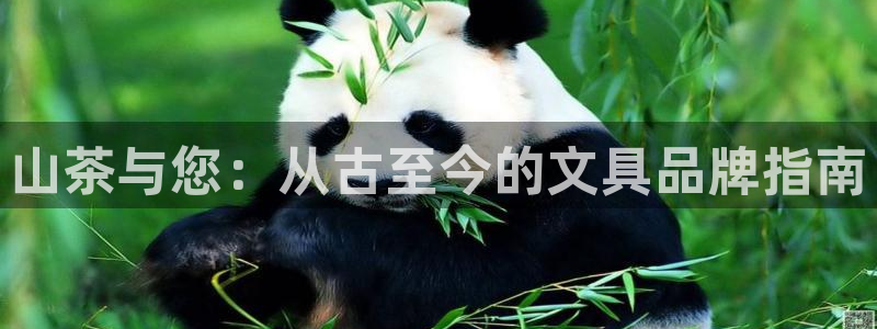 天津龙八国际：山茶与您：从古至今的文具品