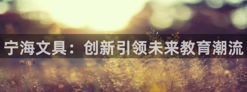 龙八国际官网首页：宁海文具：创新引领未来