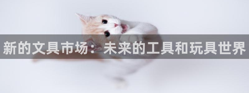 龙八国际手机客户端：新的文具市场：未来的