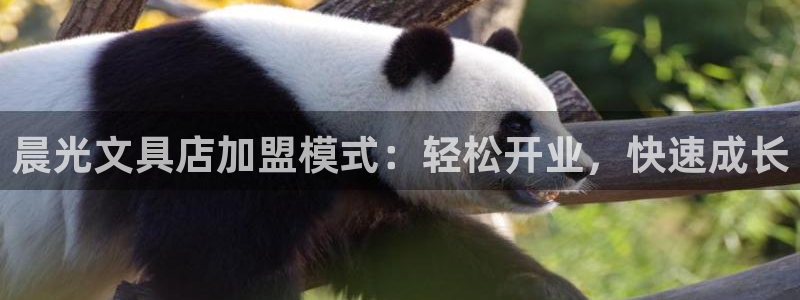 龙八国际苹果下载：晨光文具店加盟模式：轻