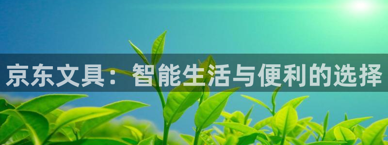 龙八国际娱乐正版：京东文具：智能生活与便