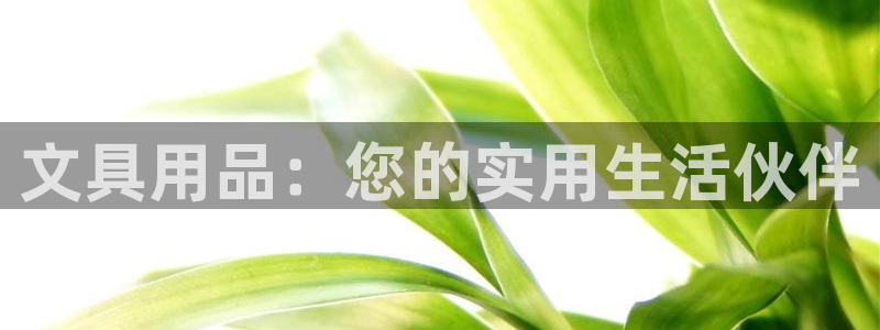 龙八国际娱乐登录：文具用品：您的实用生活
