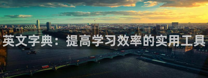 龙八国际2023：英文字典：提高学习效率