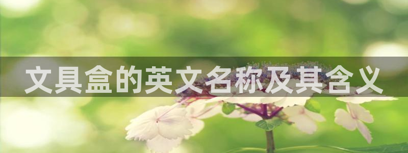 龙八国际客户端下载平台：文具盒的英文名称