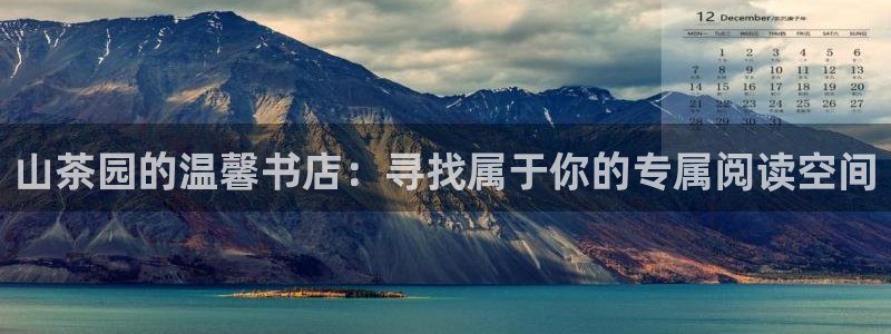 龙八国际城网站：山茶园的温馨书店：寻找属