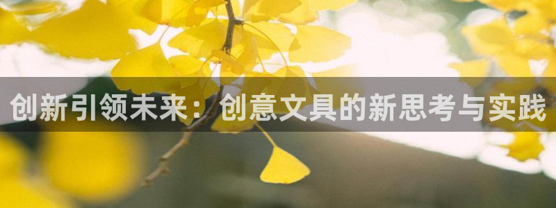 龙八国际什么诈骗：创新引领未来：创意文具