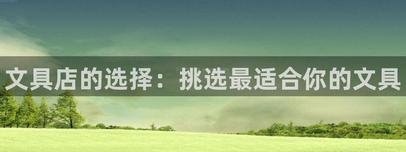 龙八国际手机端：文具店的选择：挑选最适合