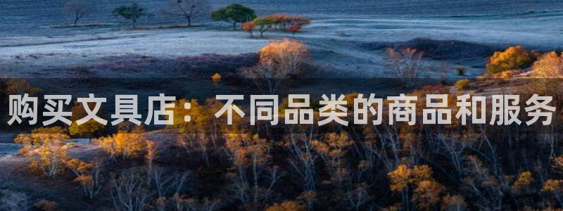 龙八国际客户端登录：购买文具店：不同品类