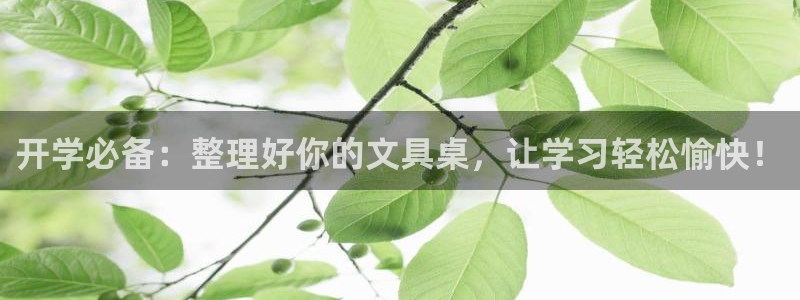 龙八国际zbzszx.com：开学必备：
