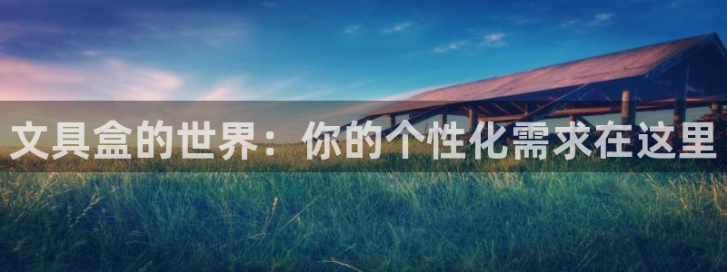 龙八国际老虎机：文具盒的世界：你的个性化