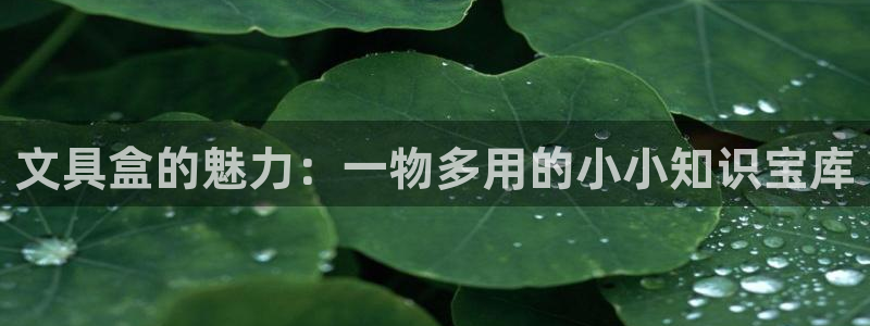 龙八国际官网手机版登录：文具盒的魅力：一