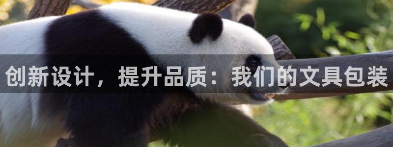 龙八国际手机版下载苹果：创新设计，提升品