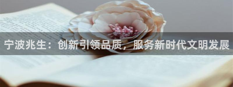 龙八国际赌场：宁波兆生：创新引领品质，服