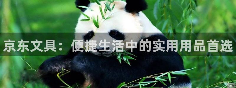 龙八国际app客户端下载手机版：京东文具