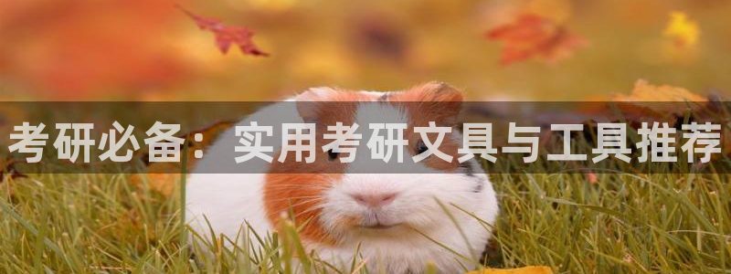 龙八国际手机版首页：考研必备：实用考研文