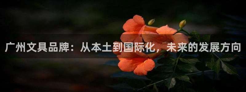 龙八国际刘佳烨：广州文具品牌：从本土到国