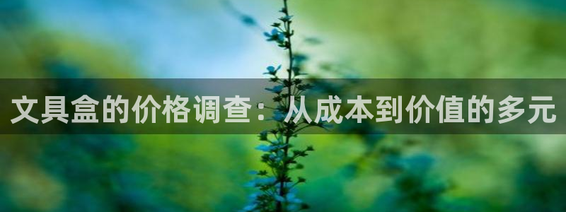 龙八国际登录网站：文具盒的价格调查：从成