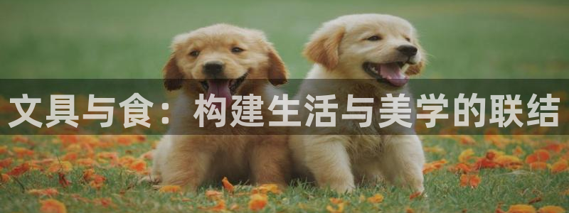 龙八国际安全吗：文具与食：构建生活与美学