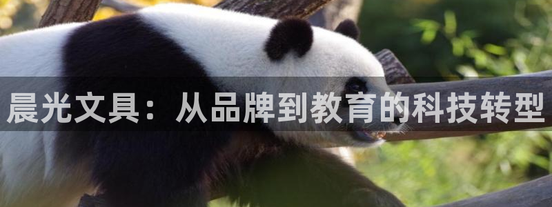 龙八国际app手机端：晨光文具：从品牌到