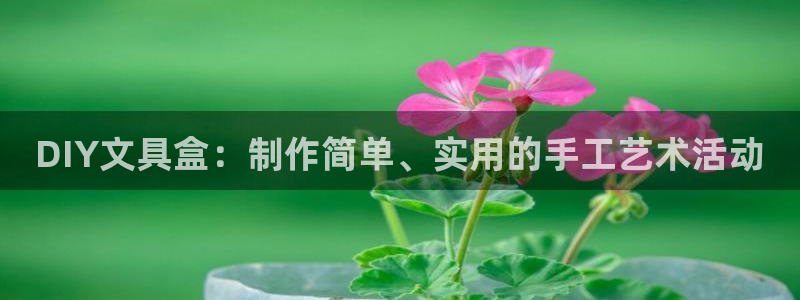 龙八国际娱乐官方：DIY文具盒：制作简单