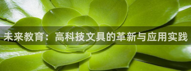 龙八国际娱乐 pt：未来教育：高科技文具